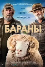 Бараны / Rams