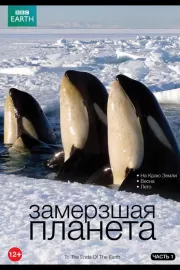 BBC: Замерзшая планета / Frozen Planet