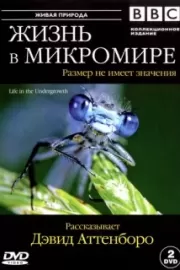 BBC: Жизнь в микромире / Life in the Undergrowth