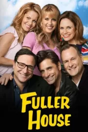 Более полный дом / Fuller House