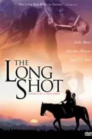 Большой риск / The Long Shot