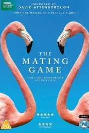 Брачная Игра / The Mating Game