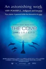 Бухта / The Cove