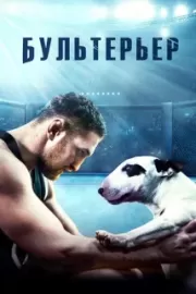 Бультерьер / Бультерьер