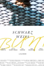 Черный Белый Разноцветный / Schwarz Weiss Bunt