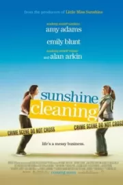 Чистка до блеска / Sunshine Cleaning