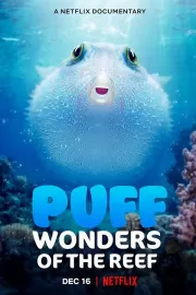 Чудеса кораллового рифа / Puff: Wonders of the Reef