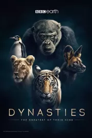 Династии / Dynasties