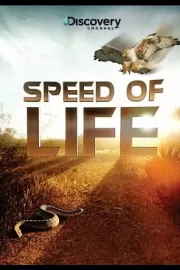 Discovery: Скорость жизни / Speed of Life