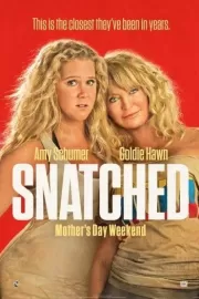 Дочь и мать ее / Snatched