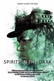 Духи в темноте / Spirits in the Dark