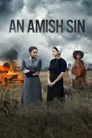 Грех амишей / An Amish Sin