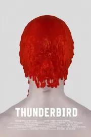 Громовая птица / Thunderbird