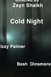 Холодная ночь / Cold Night