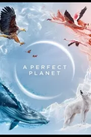 Идеальная планета / A Perfect Planet