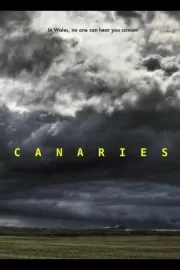 Канарейки / Canaries