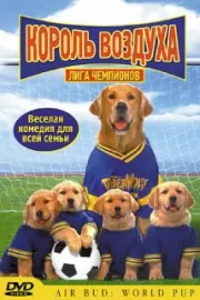 Король воздуха: Лига чемпионов / Air Bud: World Pup