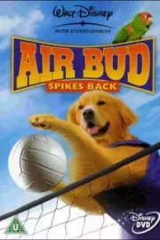 Король воздуха: Возвращение / Air Bud: Spikes Back