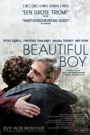 Красивый мальчик / Beautiful Boy