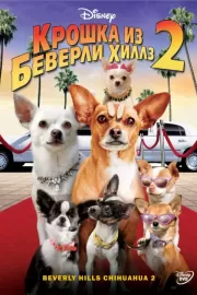 Крошка из Беверли-Хиллз 2 / Beverly Hills Chihuahua 2