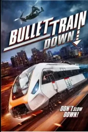 Крушение скоростного поезда / Bullet Train Down