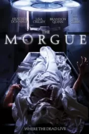 Морг / The Morgue