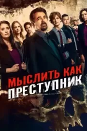 Мыслить как преступник / Criminal Minds