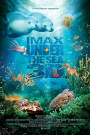 На глубине морской 3D / Under the Sea 3D