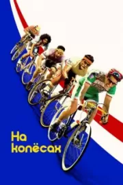 На колёсах / Tour de Pharmacy