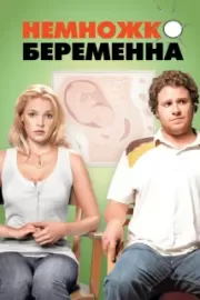 Немножко беременна / Knocked Up