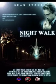 Ночная прогулка / Night Walk