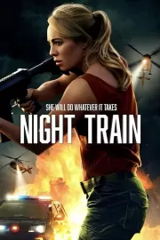 Ночной поезд / Night Train