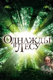 Однажды в лесу / Once in the Forest