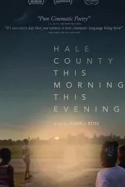 Округ Хейл утром и вечером / Hale County This Morning, This Evening