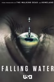 Падающая вода / Falling Water