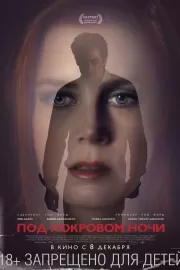 Под покровом ночи / Nocturnal Animals