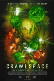 Подвал / Crawlspace