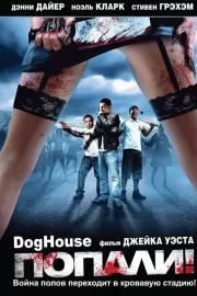 Попали! / Doghouse