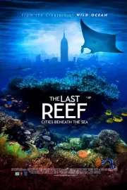 Последний риф 3D / The Last Reef 3D