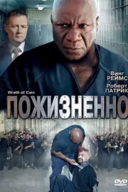 Пожизненно / The Wrath of Cain