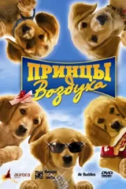 Принцы воздуха / Air Buddies