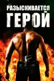 Разыскивается герой / Hero Wanted