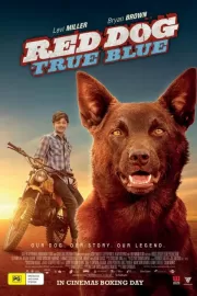 Рыжий: Вся правда / Red Dog: True Blue