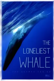 Самый одинокий кит / The Loneliest Whale: The Search for 52