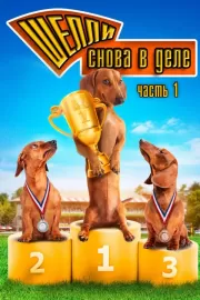 Шелли снова в деле: Часть 1 / Wiener Dog Nationals