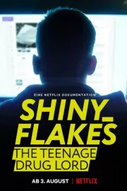 Shiny_Flakes: Молодой наркобарон / Shiny_Flakes: The Teenage Drug Lord