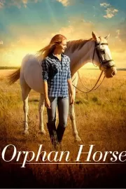 Сиротка / Orphan Horse