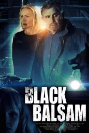 Смертельная сделка / Black Balsam