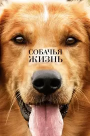 Собачья жизнь / A Dog's Purpose