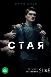 Стая / Стая